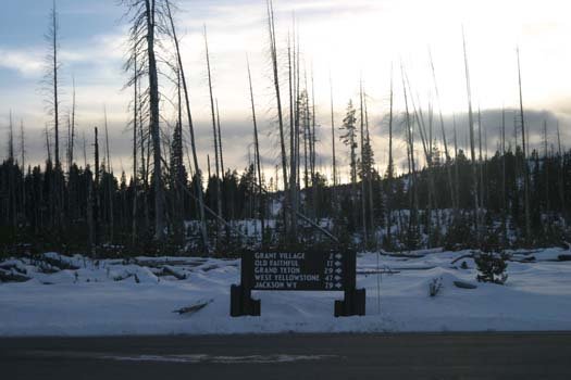 USA WY YellowstoneNP 2004NOV01 GeyserBasin 005